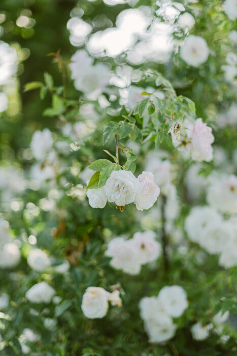 Chateau Mcely - Weddings in Prague - Julie May